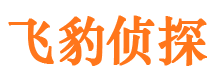 广陵市侦探调查公司